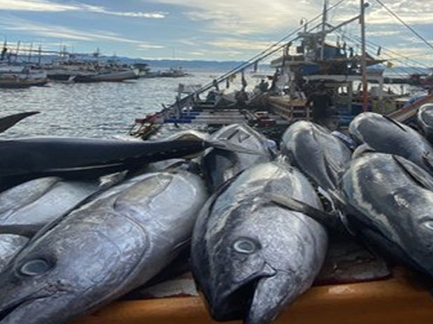 Indonesia Seafood Sourcing Mission